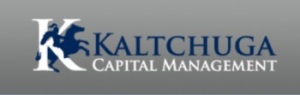 Фонд Kaltchuga может построить бизнес-хаб в новой Москве за 4 млрд евро