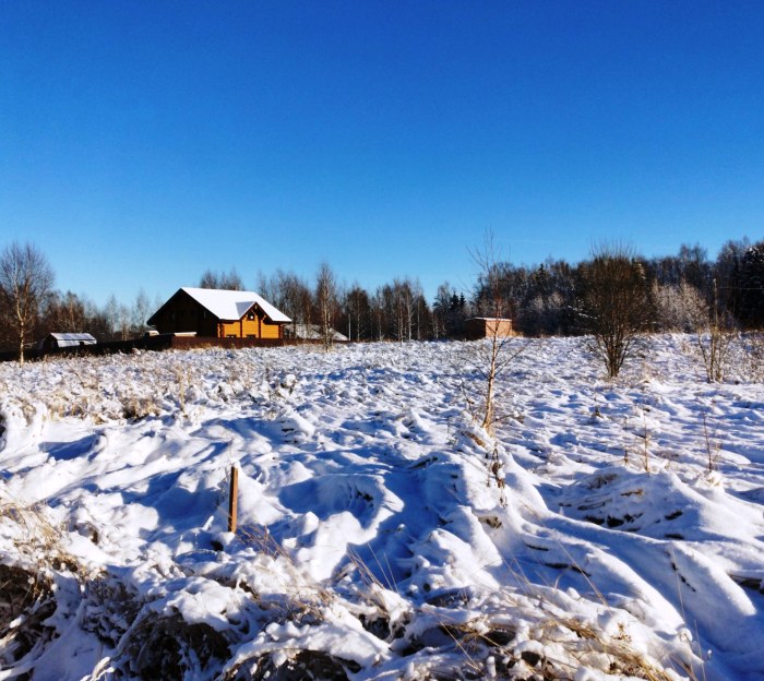 Два земельных участка в Сосенском поселении ТиНАО выставят на торги под ИЖС