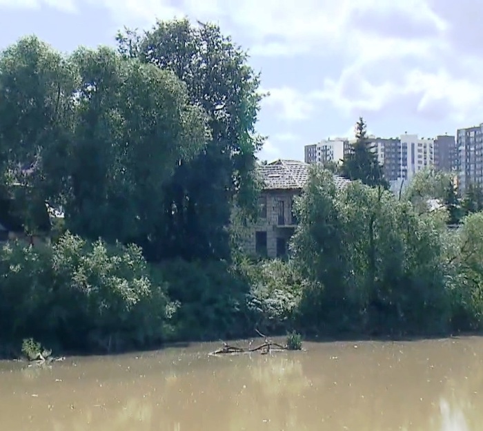 Департамент природопользования начал проверку по факту загрязнения Николо-Хованского пруда в ТиНАО