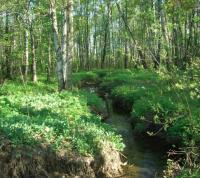 Ущерб от загрязнения реки Сетуньки превысил 3,8 млрд рублей
