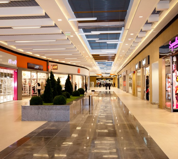 Крупный торгово-бытовой центр в «Новых Ватутинках» введут в этом году